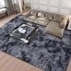 Carpet Fluffy Rug