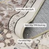 Floral Distressed Brown Rug