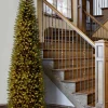 10 Feet Kingswood fir Pre-Lit Christmas Tree