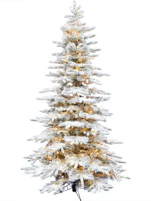 10 ft Mountain pine Christmas Tree