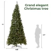 11 ft Mountain Pine tree