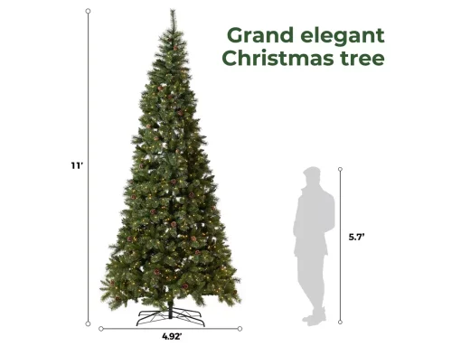 11 ft Mountain Pine tree