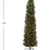 12 ft Pre Lit Carolina Pine