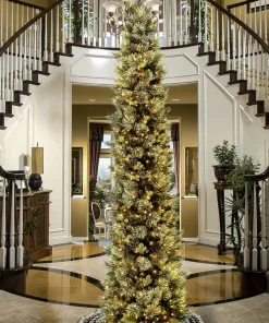 12 ft Pre Lit Carolina Pine Slim Tree