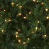 Kingswood fir Pre-Lit Christmas Tree
