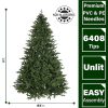 9 ft Oregon Pine