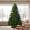 9 ft Oregon Pine Christmas Tree