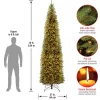 Kingswood fir Christmas Tree