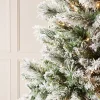 Snow Flocked Spruce Christmas Tree