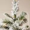 Snow Flocked Spruce Christmas Tree top