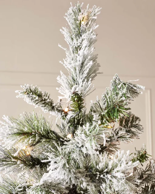 Snow Flocked Spruce Christmas Tree top