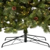 White Mountain Pine bottom